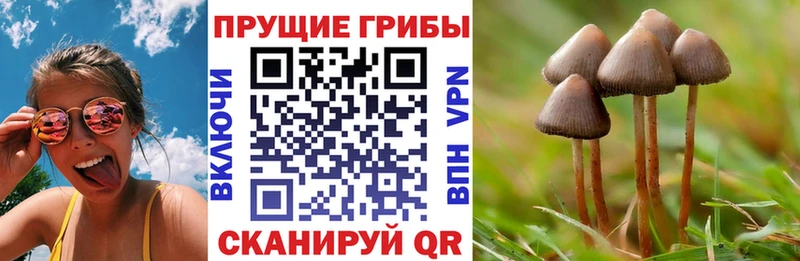 Псилоцибиновые грибы прущие грибы гидра ONION Северодвинск